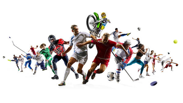 multi sport goal